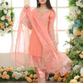 3 Pcs Women's Stitched Embroidered Suit.